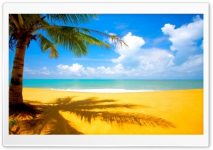 Gorgeous Beach In Summertime