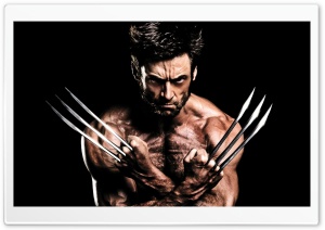 Wolverine Show-off