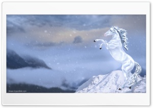Winter Horse