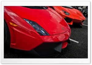 Red Lamborghinis