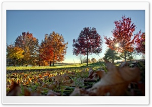 Autumn Colors Scenery
