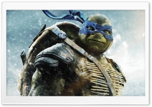 Leo - in TMNT