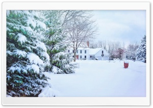 House, Snow, Winter Holiday