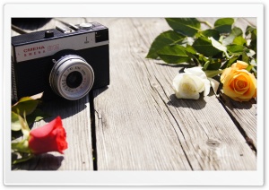 Old Camera and Roses