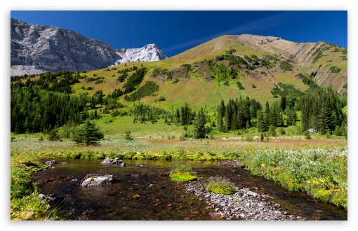 Download Mountain Creek Spring UltraHD Wallpaper