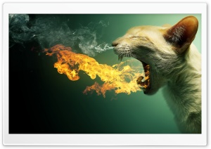 Flaming Cat