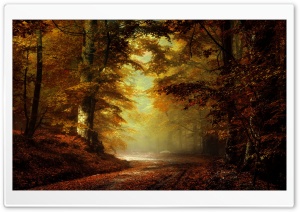 Beautiful Autumn Landscape