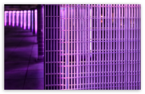 Download Purple Filter UltraHD Wallpaper