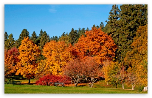 Download Autumn Colors UltraHD Wallpaper