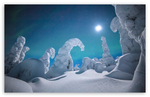 Download Lapland Winter Wonderland Night UltraHD Wallpaper