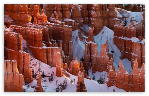 Download Canyon, Winter, Nature UltraHD Wallpaper