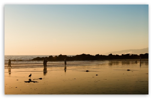 Download Walk On The Beach Sunset UltraHD Wallpaper