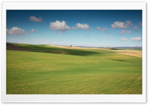 Field Landscape