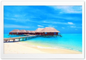 Tropical Water Bungalows