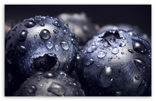 Download Waterdrops on Blueberries, Macro UltraHD Wallpaper