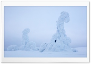 Lapland Beautiful Winter