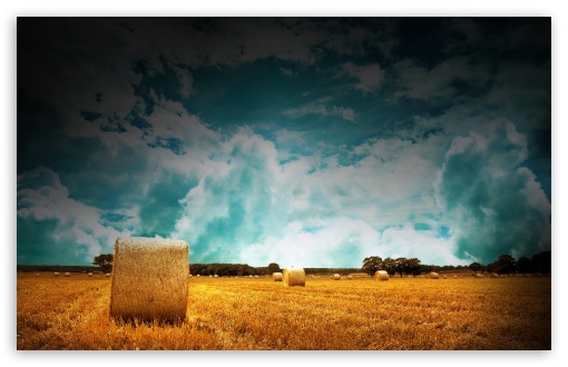Download Straw Bales On Farmland With Blue Cloudy Sky UltraHD Wallpaper