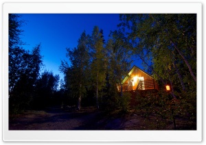 Cabin In The Woods   Night