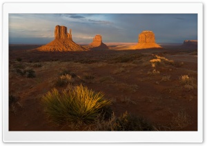 Morning In Utah Desert