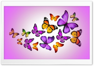 Butterflies