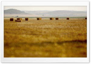 Straw Bales, La Mancha, Spain