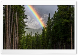 Rainbow, Forest, Banff...