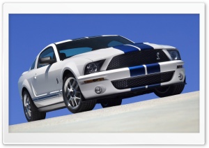 2007 Ford Shelby GT500...