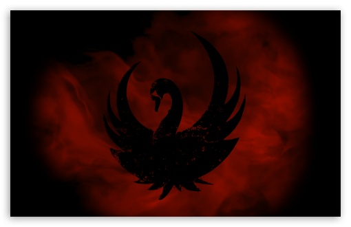 Download The Black Swan UltraHD Wallpaper