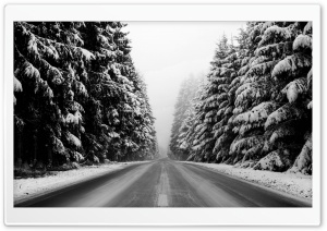 Winter Road Black And White