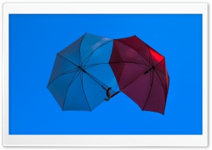 Two Umbrellas