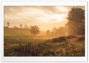 Autumn Morning Landscape