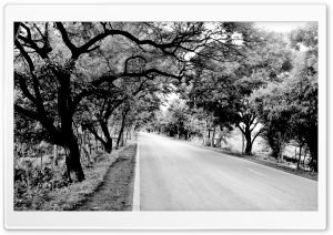 Black and White Road