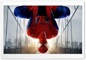 The Amazing Spider Man 2...