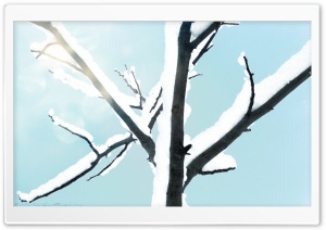 Snowy Tree Background