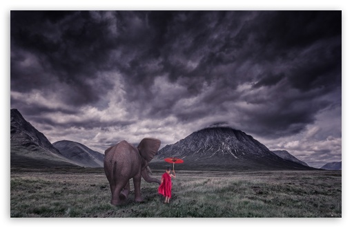 Download Elephant, Child Monk, Field, Storm Clouds UltraHD Wallpaper