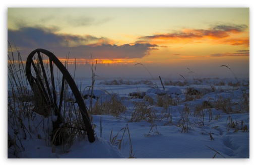Download Winter Landscape, Evening UltraHD Wallpaper