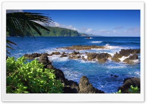 Maui, Hawaii, United States