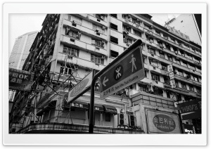 Hong Kong Buildings Black And...