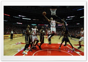 NBA Basketball Chicago Bulls