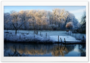 Winter Scenery   Kromme Rijn,...