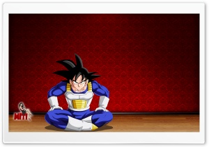 Goku In Room