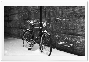 Bicycle Black And White