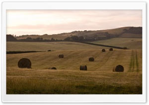 Hay Bales, Isle Of Wight,...