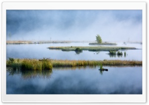 Lispach Lake, Mist, Nature