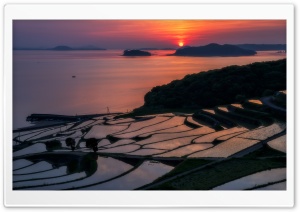 Rice Terraces at Sunset