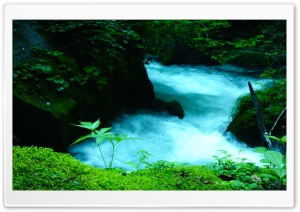 Oirase Mountain stream, Japan