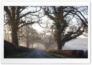 Morning, Road, Fall