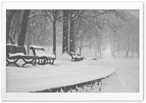 Snow Falling Black and White