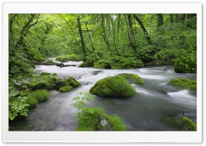 Forest River, Japan