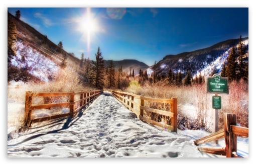 Download Aspen Trail, Winter UltraHD Wallpaper